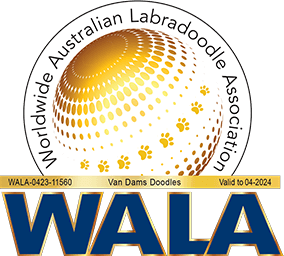 Logo Vandamsdoodles Wala